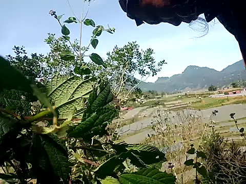 Snapshot of nui-show chatting on 11.07.25 nui-show online show from 11.07.25