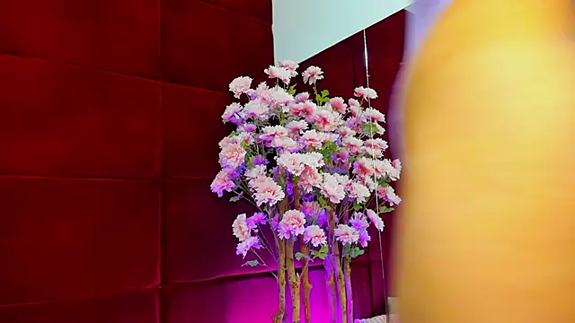 StepMomAnn online show from 11.09.25