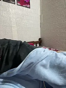 tabby-cat11 online show from 03.05.26