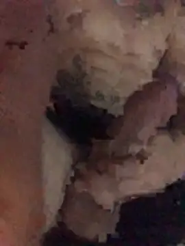 Osonhodelas online show from 01.11.26