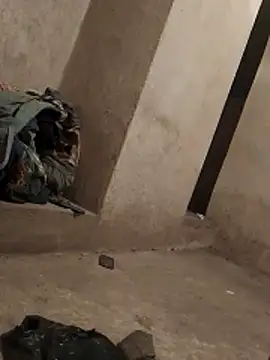 Orlao25cm online show from 11.09.25