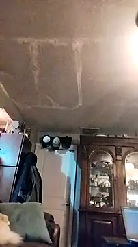 Snapshot of faithfulchic chatting on 11.11.25 faithfulchic online show from 11.11.25