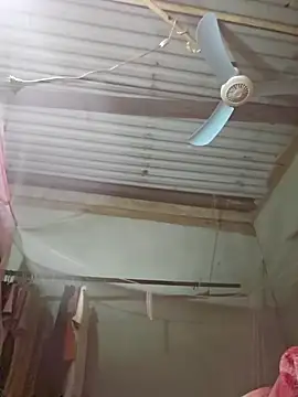 Squirrel-Pear online show from 11.19.25