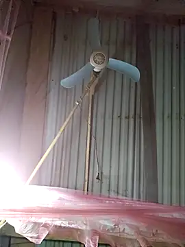 Squirrel-Pear online show from 12.04.25