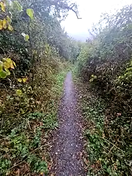 Snapshot of bbyxklaus chatting on 10.20.25 bbyxklaus online show from 10.20.25