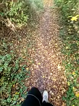 Snapshot of bbyxklaus chatting on 11.09.25 bbyxklaus online show from 11.09.25