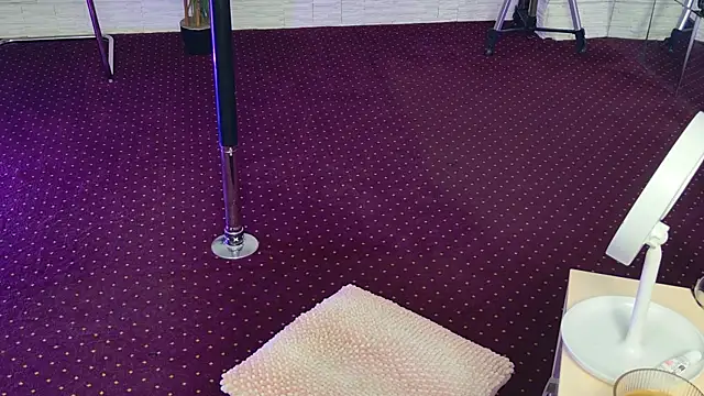 Snapshot of IvorySwan chatting on 11.03.25 IvorySwan online show from 11.03.25