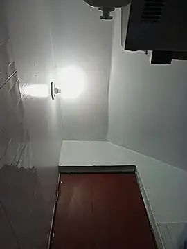 celeste 83 online show from 10.27.25