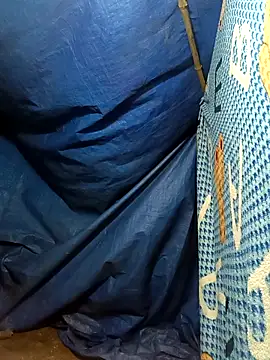 lisa-bae00 online show from 11.17.25