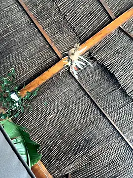 gitanoMad online show from 04.03.26