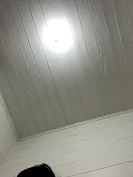 cheems232 online show from 11.14.25