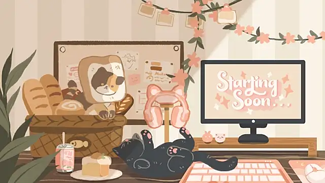 Snapshot of geekycastillo chatting on 11.05.25 geekycastillo online show from 11.05.25