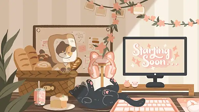 Snapshot of geekycastillo chatting on 11.16.25 geekycastillo online show from 11.16.25