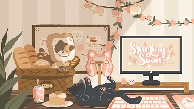 Snapshot of geekycastillo chatting on 11.26.25 geekycastillo online show from 11.26.25