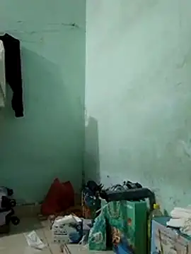  LAN  online show from 11.28.25