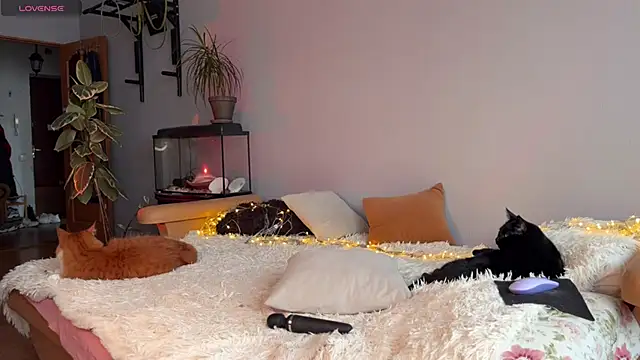 Lin Cherie online show from 11.20.25