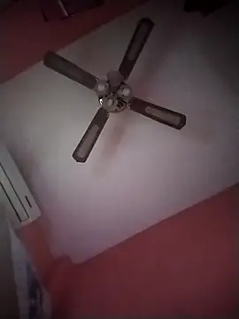 Snapshot of Danii2005 chatting on 11.06.25 Danii2005 online show from 11.06.25