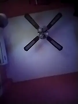 Snapshot of Danii2005 chatting on 11.12.25 Danii2005 online show from 11.12.25