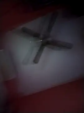 Snapshot of Danii2005 chatting on 11.25.25 Danii2005 online show from 11.25.25