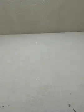 Chicattoo69 online show from 11.20.25