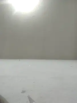 Chicattoo69 online show from 12.02.25