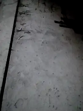 Snapshot of rickkis2k chatting on 12.13.25 rickkis2k online show from 12.13.25