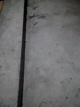 Snapshot of rickkis2k chatting on 12.16.25 rickkis2k online show from 12.16.25