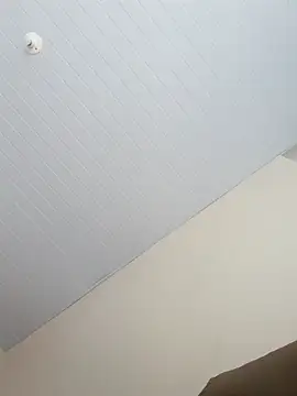 Snapshot of Morenodotado0 chatting on 02.24.26 Morenodotado0 online show from 02.24.26