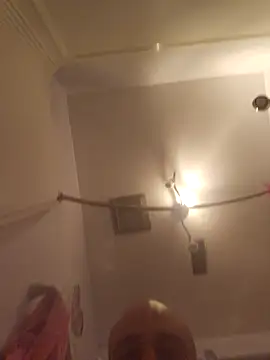 Snapshot of BulbasaurIsmettv chatting on 11.04.25 BulbasaurIsmettv online show from 11.04.25