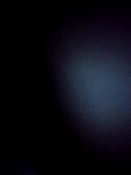 Snapshot of BulbasaurIsmettv chatting on 12.02.25 BulbasaurIsmettv online show from 12.02.25