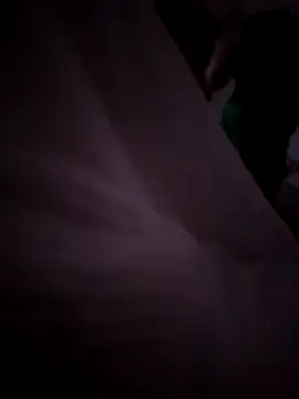 Mammothx12 online show from 11.20.25