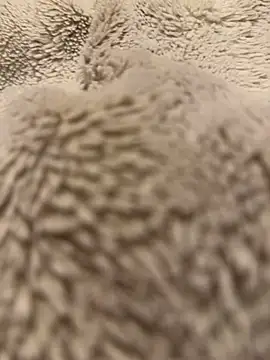 Snapshot of Jackoff2345 chatting on 02.18.26 Jackoff2345 online show from 02.18.26