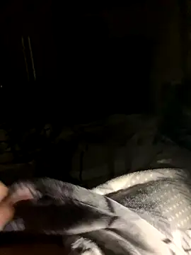 bfelipedasilva online show from 10.23.25