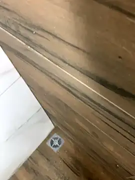 bfelipedasilva online show from 10.25.25