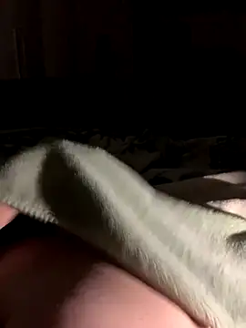 bfelipedasilva online show from 10.28.25