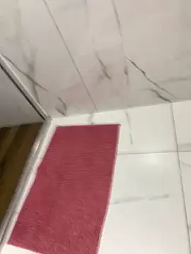 bfelipedasilva online show from 11.23.25