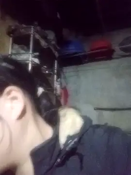 Snapshot of Noelle-e chatting on 02.03.26 Noelle-e online show from 02.03.26