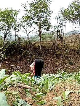 Snapshot of Noelle-e chatting on 04.07.26 Noelle-e online show from 04.07.26