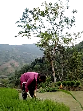 Snapshot of Noelle-e chatting on 04.11.26 Noelle-e online show from 04.11.26