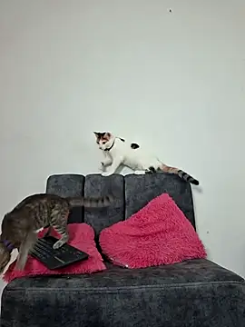 Snapshot of Mia_fox29 chatting on 11.13.25 Mia fox29 online show from 11.13.25