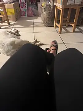 Evil kitty6 online show from 12.15.25