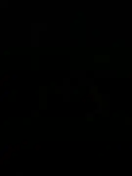 WildNour online show from 04.01.26