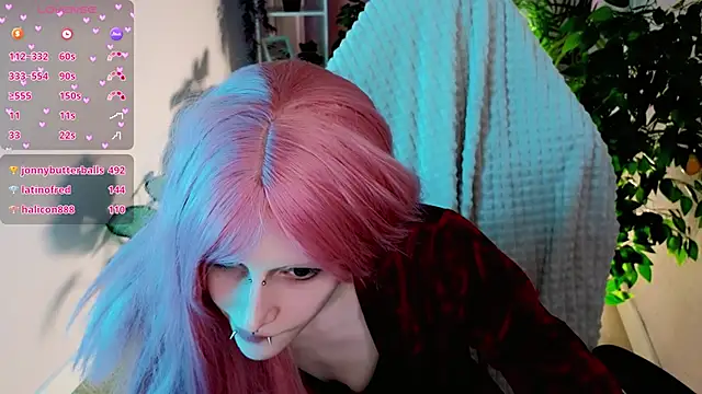 karkadeshk online show from 04.05.26