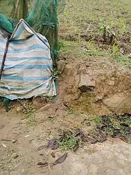 doggy-00 online show from 04.16.26