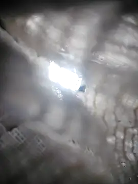 Lana-murr online show from 11.06.25