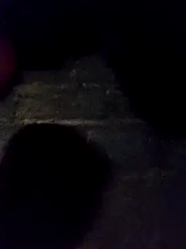 Snapshot of bella-la chatting on 11.30.25 bella-la online show from 11.30.25