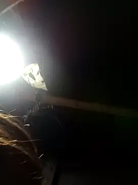 bella-la online show from 02.09.26