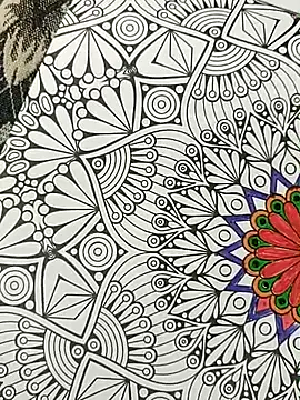 bigtelugubhama online show from 11.15.25