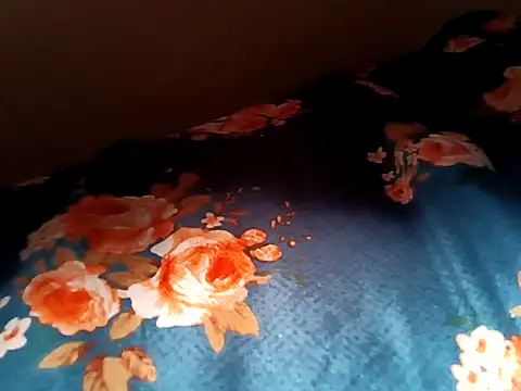 bigtelugubhama online show from 02.12.26