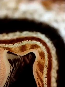 Snapshot of Nightrider1203 chatting on 11.08.25 Nightrider1203 online show from 11.08.25